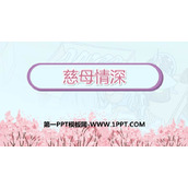 《慈母情深》PPT优质课件下载