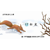 《松鼠》PPT免费精品课件下载