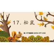 《松鼠》PPT免费优秀课件