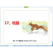 《松鼠》PPT免费优质课件