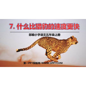 《什么比猎豹的速度更快》PPT优质课件下载
