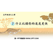 《什么比猎豹的速度更快》PPT免费课件下载