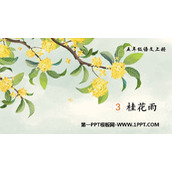 《桂花雨》PPT免费精品课件