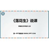 《落花生》PPT说课课件