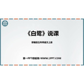 《白鹭》PPT说课课件