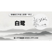 《白鹭》PPT免费课件下载