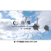 《白鹭》PPT优秀课件下载