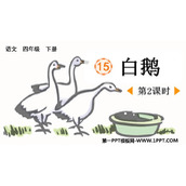 《白鹅》PPT课件下载(第2课时)