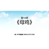 《母鸡》PPT精品课件下载