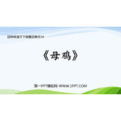《母鸡》PPT免费课件下载