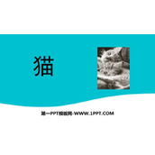 《猫》PPT免费精品课件