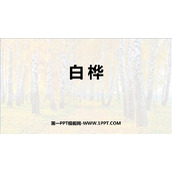 《白桦》PPT课文课件下载