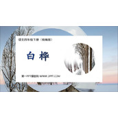 《白桦》PPT优秀课件下载