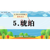《琥珀》PPT教学课件下载