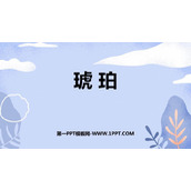 《琥珀》PPT免费课件下载