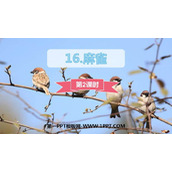 《麻雀》PPT课件下载(第2课时)