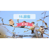 《麻雀》PPT课件下载(第1课时)