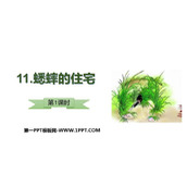 《蟋蟀的住宅》PPT教学课件(第1课时)