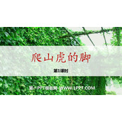 《爬山虎的脚》PPT精品课件(第1课时)