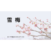 《雪梅》PPT优质课件