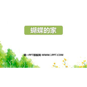 《蝴蝶的家》PPT优秀课件下载