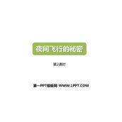 《夜间飞行的秘密》PPT下载(第2课时)