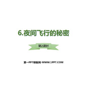 《夜间飞行的秘密》PPT课件(第2课时)