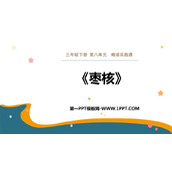 《枣核》PPT优质课件下载