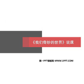 《我们奇妙的世界》PPT说课课件