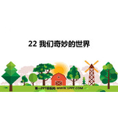 《我们奇妙的世界》PPT教学课件下载