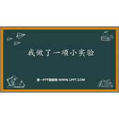 《我做了一项小实验》PPT免费课件下载