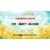 《我做了一项小实验》PPT优质课件下载