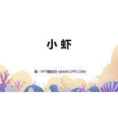 《小虾》PPT优秀课件下载