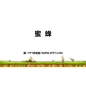 《蜜蜂》PPT优秀课件下载