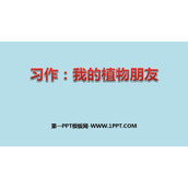 《我的植物朋友》PPT优质课件下载