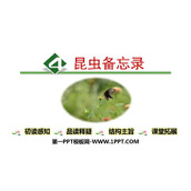 《昆虫备忘录》PPT免费课件下载