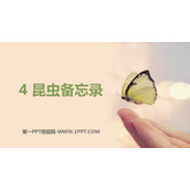 《昆虫备忘录》PPT优秀课件下载