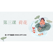 《荷花》PPT免费课件下载