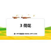 《荷花》PPT优秀课件下载