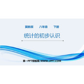 《统计的初步认识》PPT下载