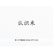 《认识米》厘米、分米、米PPT课件