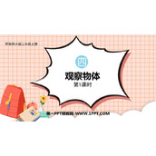 《观察物体》PPT精品课件(第1课时)