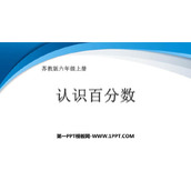 《认识百分数》PPT课件下载