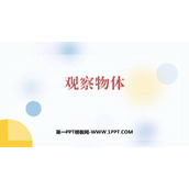 《观察物体》PPT免费教学课件