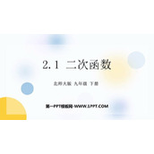 《二次函数》PPT优质课件下载