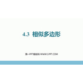 《相似多边形》图形的相似PPT精品课件