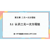 《认识二元一次方程组》二元一次方程组PPT免费课件