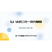 《认识二元一次方程组》二元一次方程组PPT课件下载