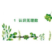 《认识无理数》实数PPT优质课件
