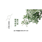《感受可能性》概率初步PPT精品课件